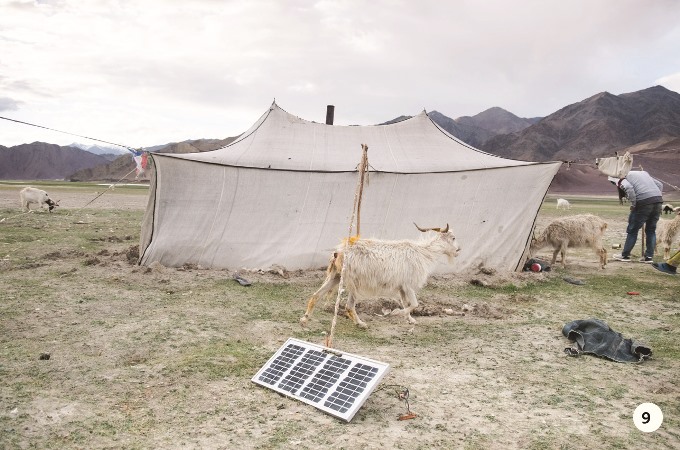 PhotoEssay (Himalayan Nomads 03_18)solar680.jpg